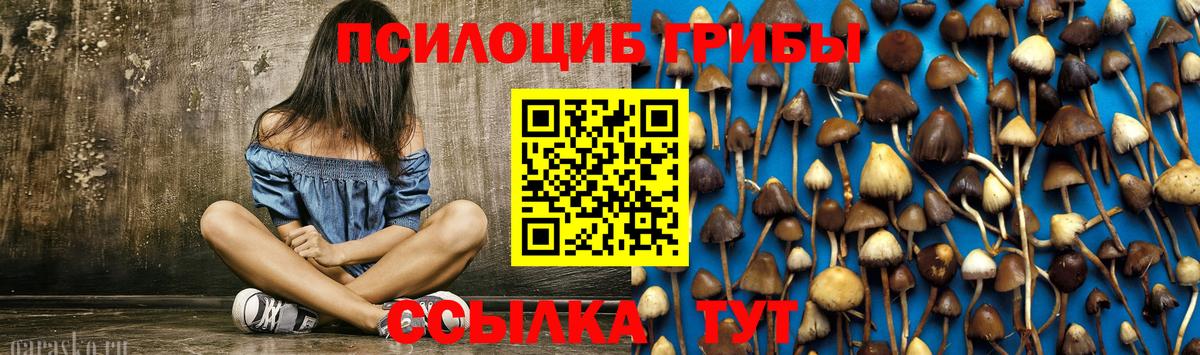 Псилоцибиновые грибы MAGIC MUSHROOMS Семилуки